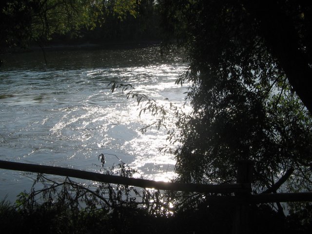 finnek 2011 016